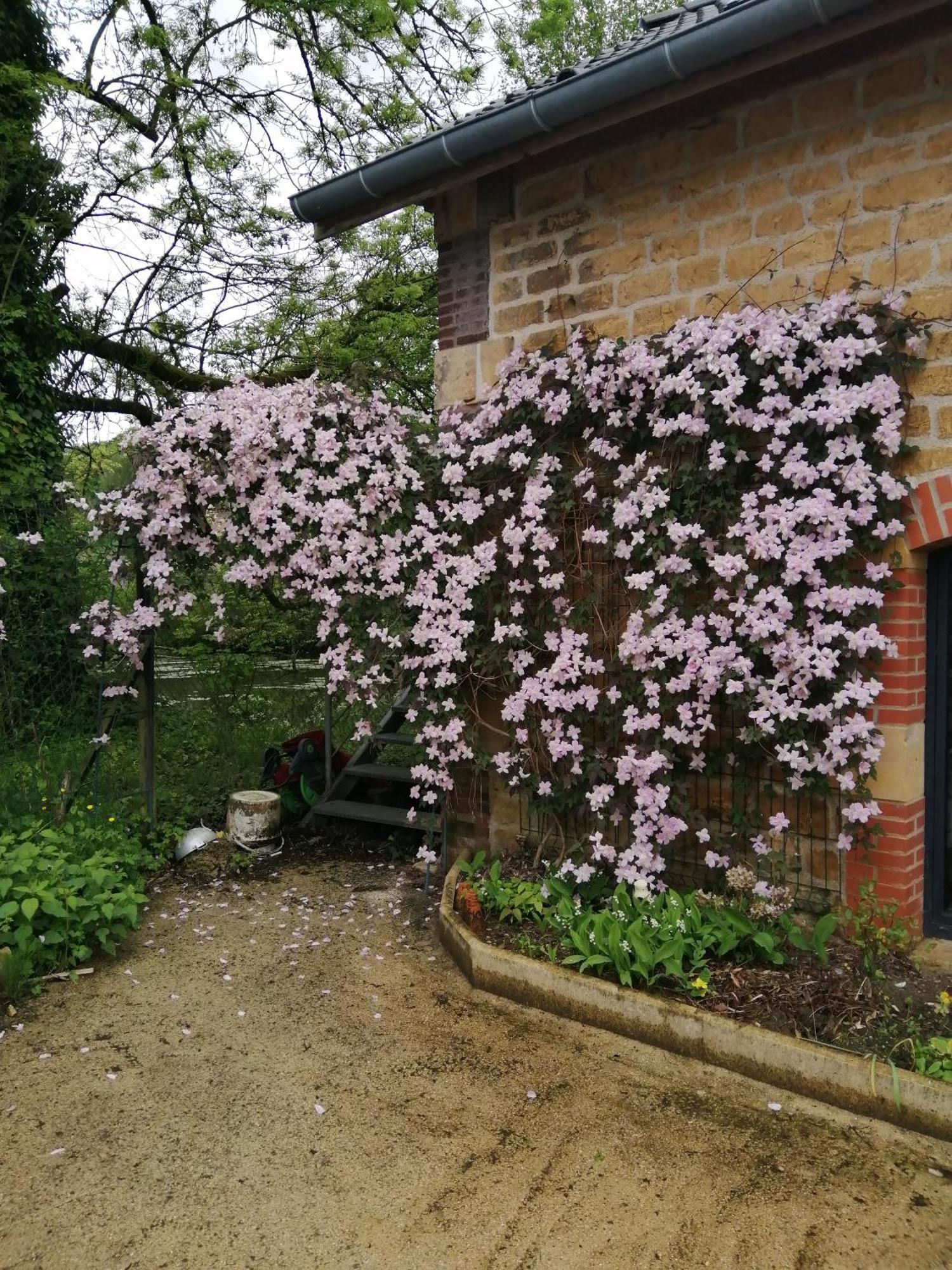 Vila O Jardin De Boutancourt Exteriér fotografie