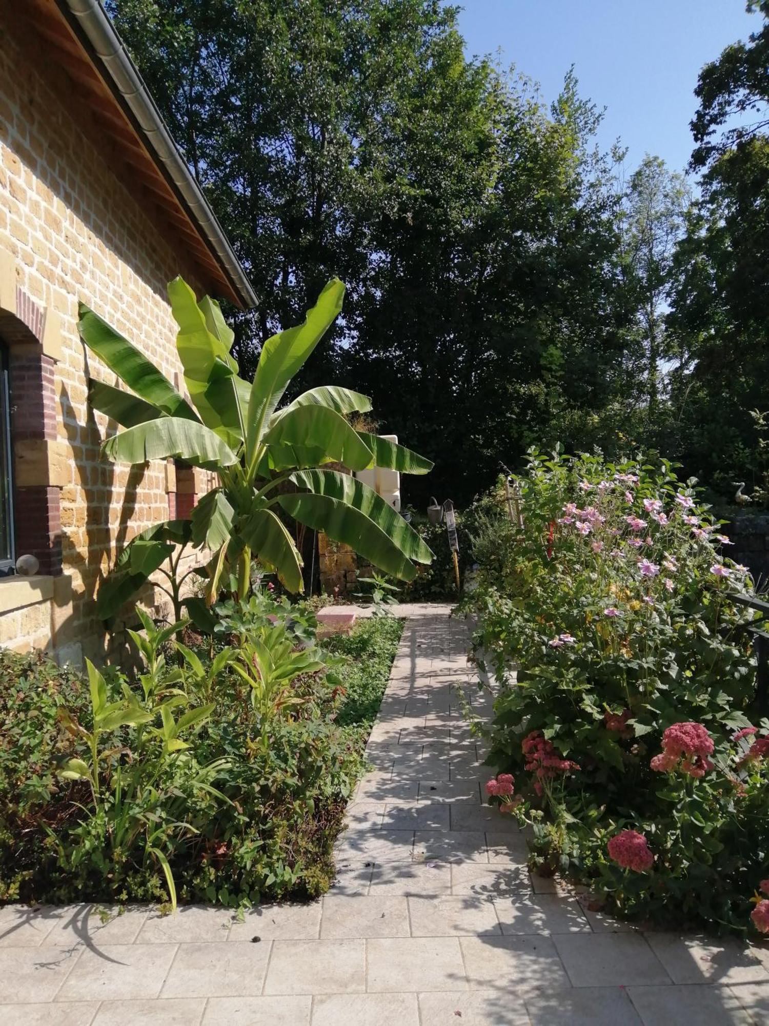 Vila O Jardin De Boutancourt Exteriér fotografie