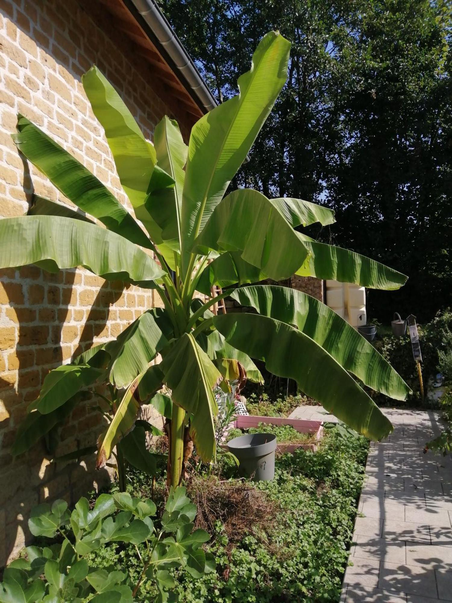 Vila O Jardin De Boutancourt Exteriér fotografie