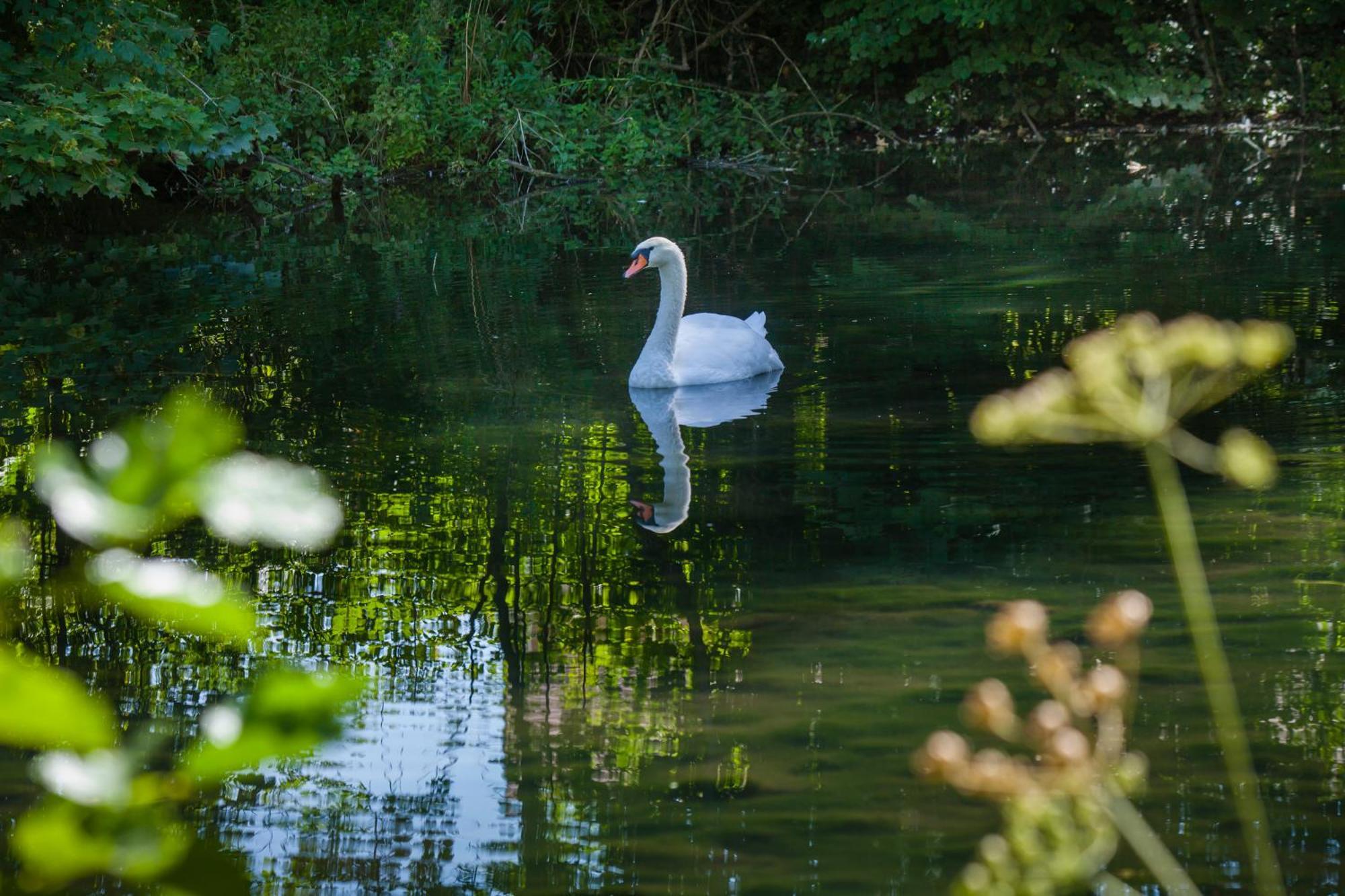 Vila O Jardin De Boutancourt Exteriér fotografie
