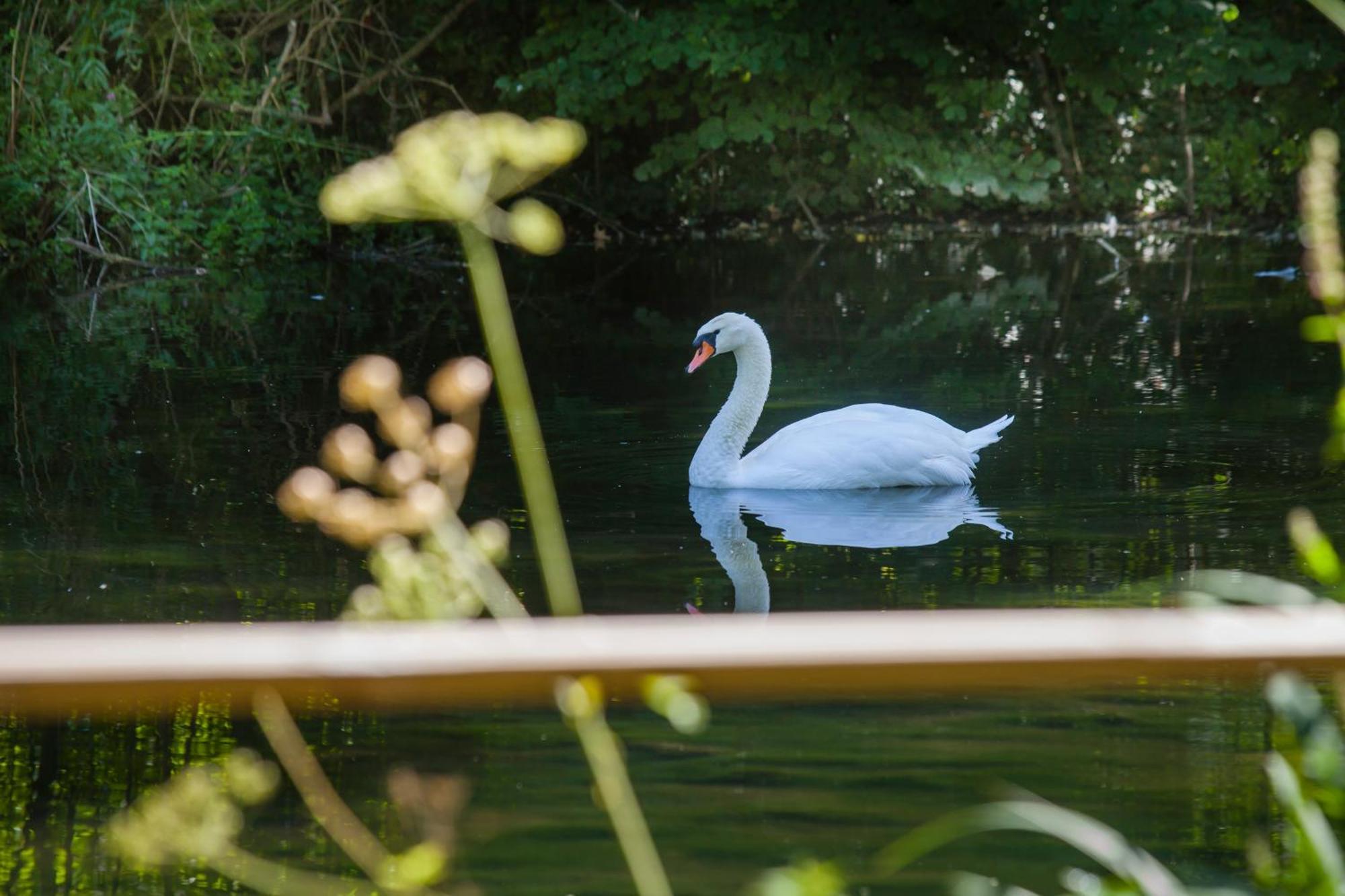 Vila O Jardin De Boutancourt Exteriér fotografie